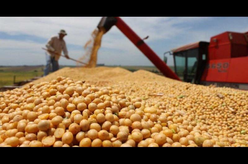 Las razones por las que se desplomoacute el ingreso de doacutelares del campo