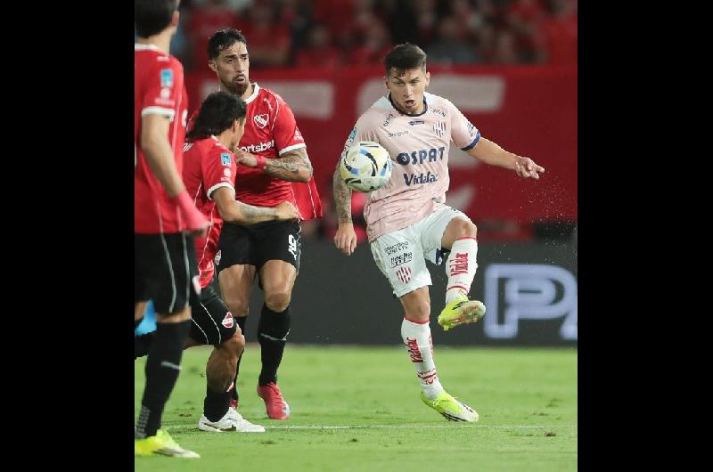 Que el aacuterbol no tape el bosque