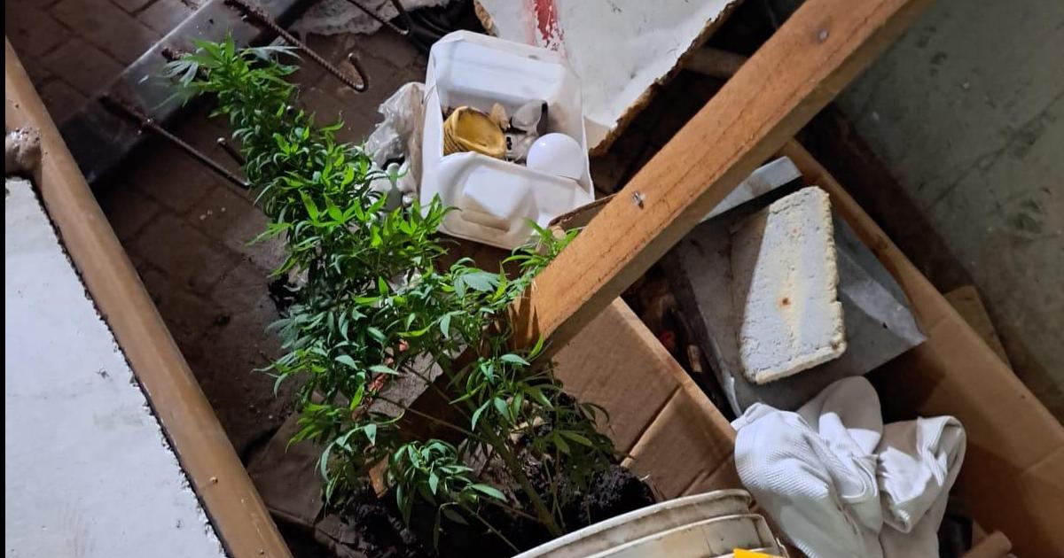 Galpones de la Tupac Katari hallaron una granada y un arsenal de armas