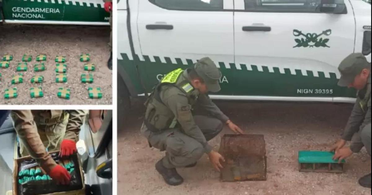 Secuestraron hojas de coca y aves silvestres provenientes de Jujuy en La Rioja