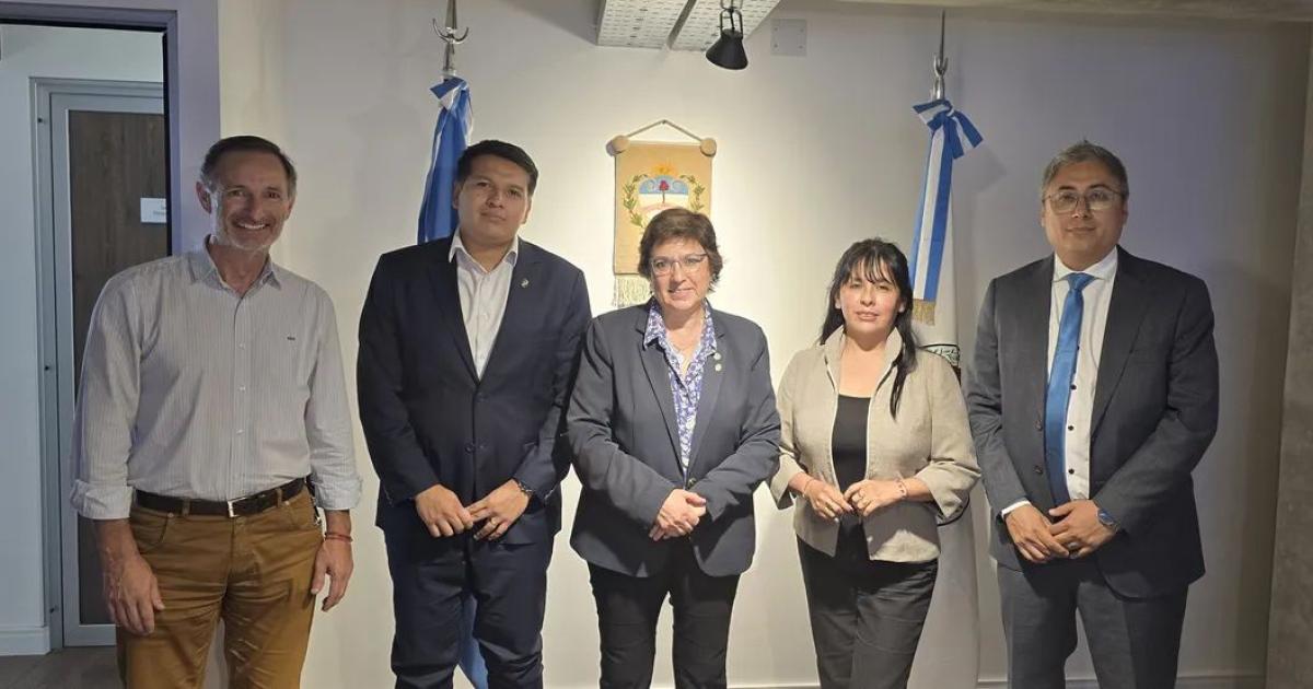  Tu Jujuy incorpora nuevos traacutemites del ISJ