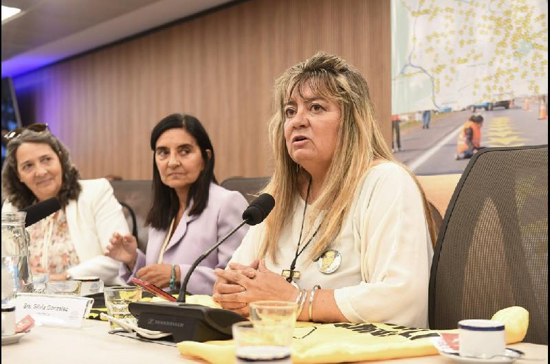 En una reunioacuten con representantes de viacutectimas Diputados abordoacute el proyecto sobre siniestralidad vial