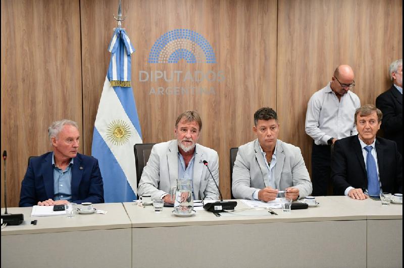 Diputados avanzoacute con el armado de comisiones y toma carrera para el tratamiento de nuevas leyes