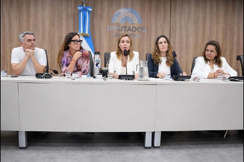 Quieacutenes presiden las comisiones en Diputados- la lista completa 