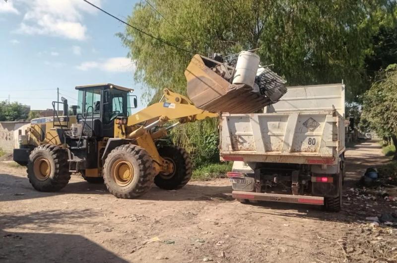 La cifra de casos de Chikungunya se elevoacute a 12 en la Provincia