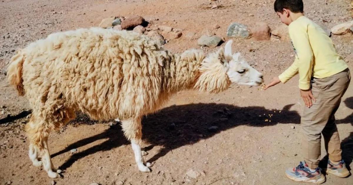 El finde largo dejoacute un impacto econoacutemico de4655 millones en la provincia