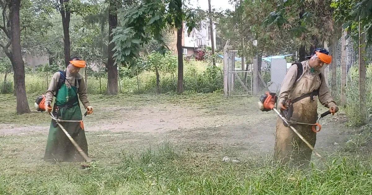 Despliegan operativos en conjunto para prevenir casos de chikungunya en la provincia