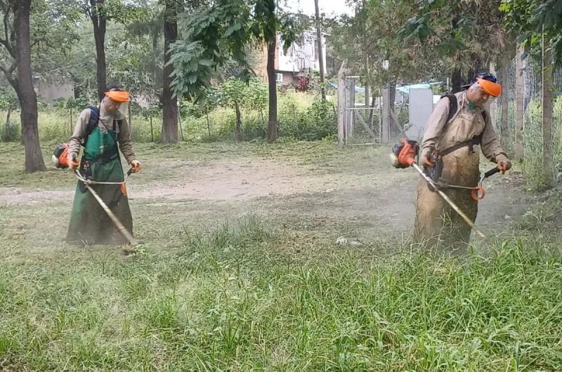 Despliegan operativos en conjunto para prevenir casos de chikungunya en la provincia