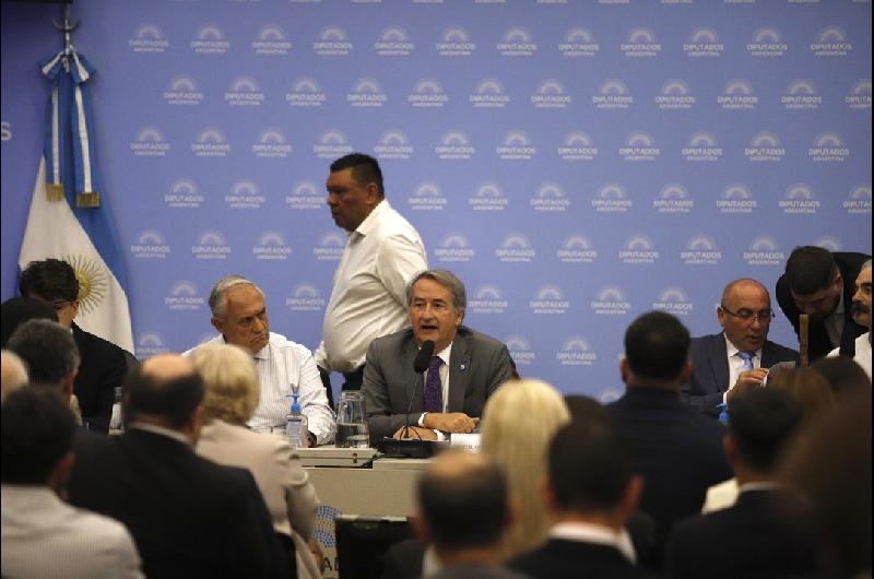 Audiencia puacuteblica por la reforma de la ley de Glaciares- segunda jornada con 200 oradores virtuales