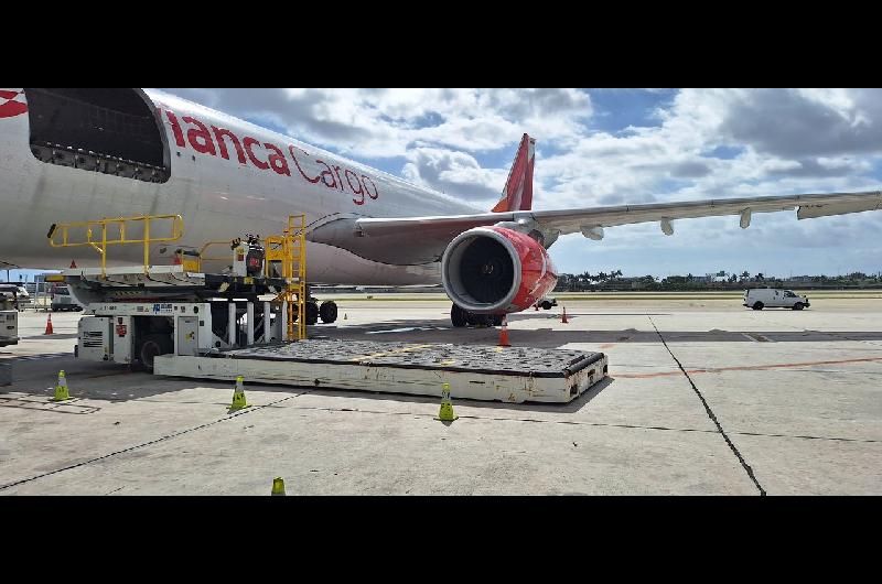 Aumentoacute en febrero un 07 -en-porciento- el traacutefico de carga aeacuterea en Lationoameacuterica
