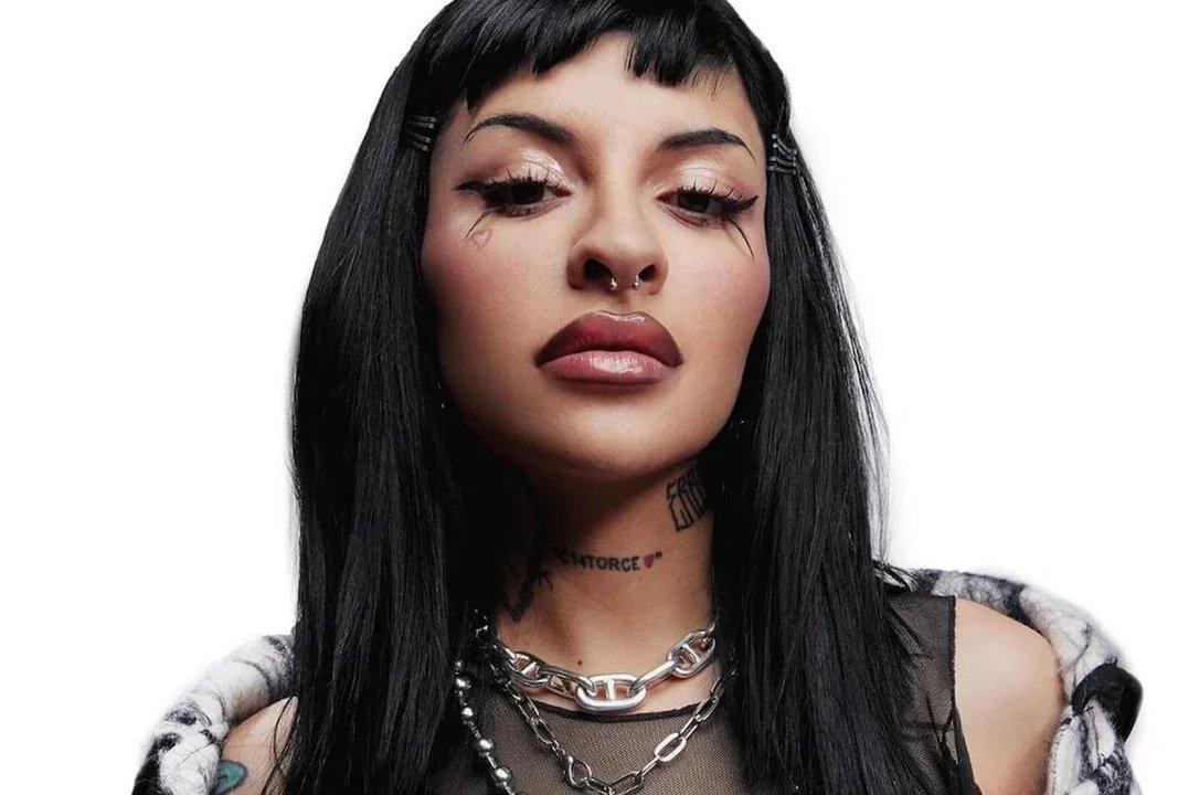 La ldquoLey Cazzurdquo se trataraacute en Argentina como un proyecto tras la presentacioacuten en Meacutexico