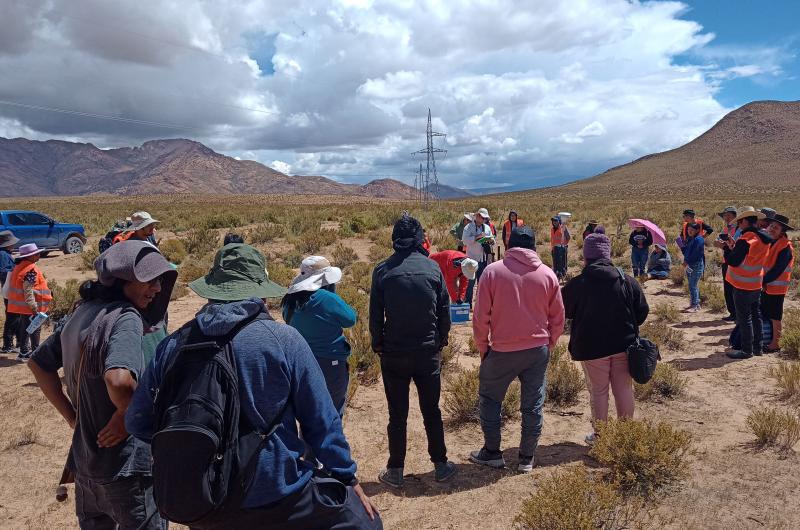 Comunidades de la Puna rechazan nuevo avance minero en toda la regioacuten