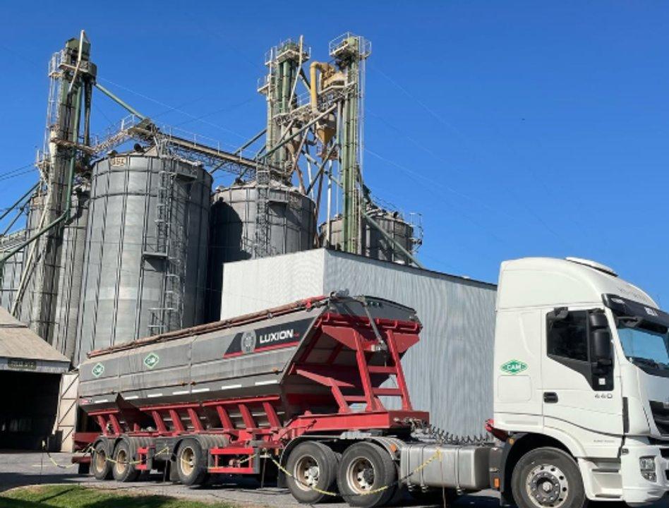 El BCRA eliminoacute una antigua penalizacioacuten al acopio de soja y trigo y abarata creacuteditos a empresas agriacutecolas