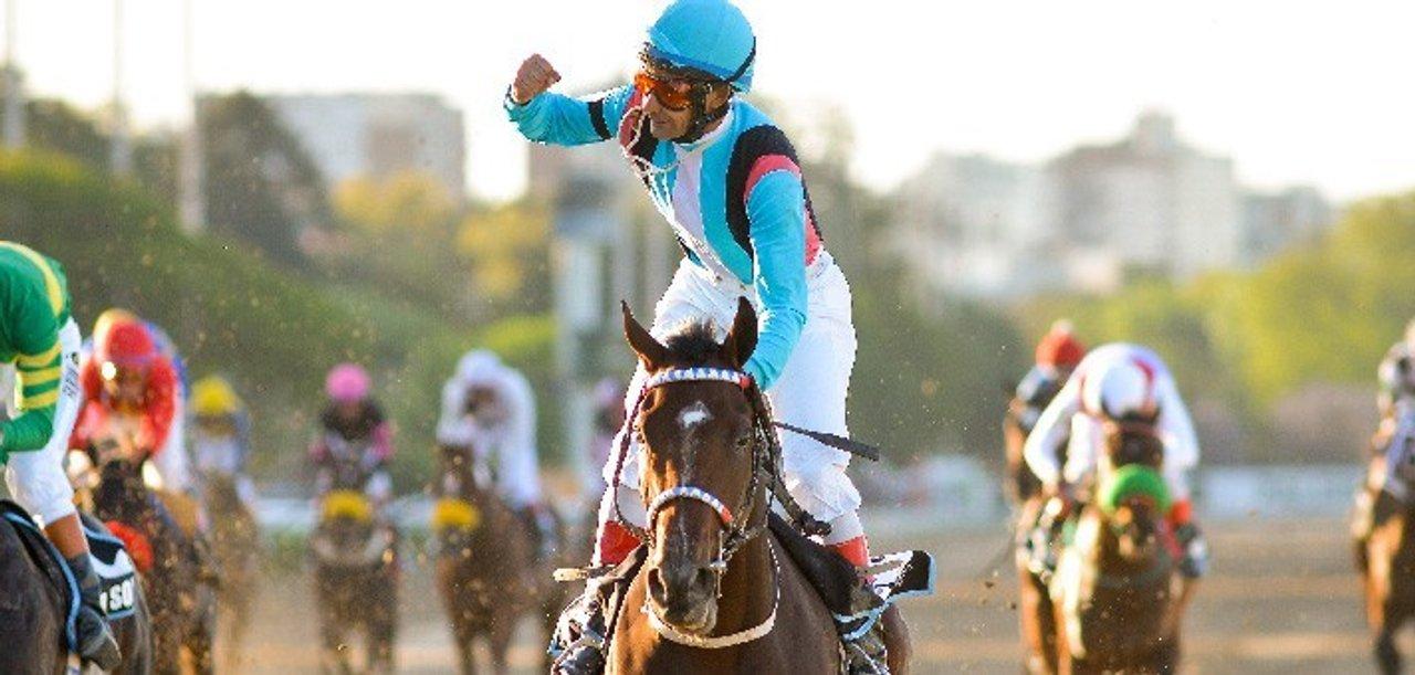 El turf la industria centenaria que lucha por sobrevivir