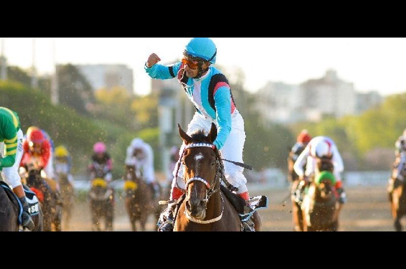 El turf la industria centenaria que lucha por sobrevivir