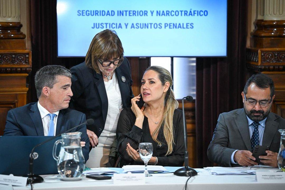 Ley de armas- aval del oficialismo y bloques aliados para debatir en el Senado la regularizacioacuten y programa de entrega