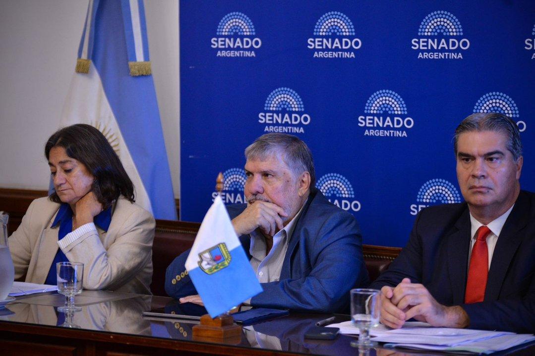 Senado- con criacuteticas a Milei el bloque del PJ presentoacute un proyecto para bajar las tarifas de luz en el Norte Grande