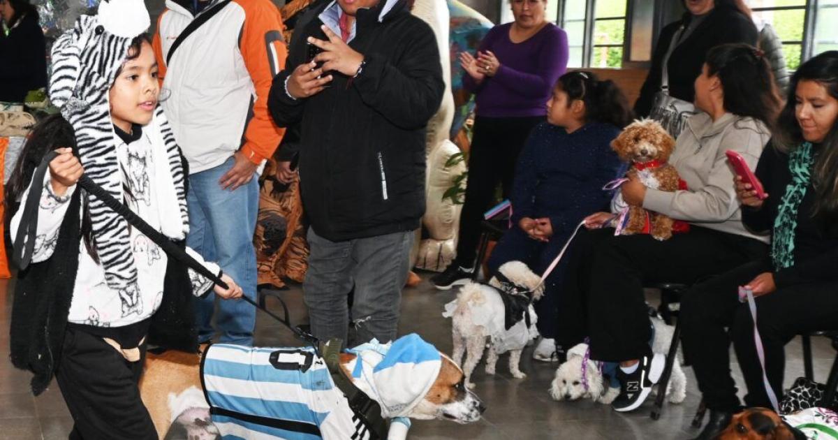 Destacan adhesioacuten de los vecinos de la ciudad a la Semana del Animal