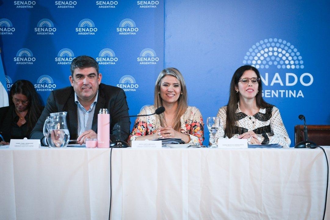 Salud pide al Senado aprobar cambios que habilitan internaciones involuntarias y priorizan evaluacioacuten meacutedica