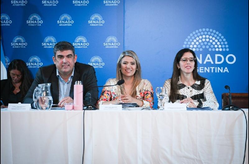 Salud pide al Senado aprobar cambios que habilitan internaciones involuntarias y priorizan evaluacioacuten meacutedica