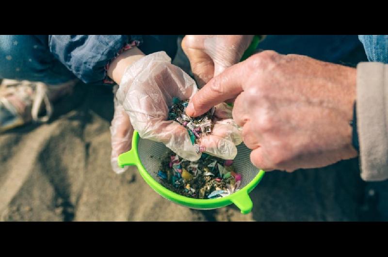Cientiacuteficos desarrollaron un meacutetodo de bajo costo para extraer microplaacutesticos del suelo