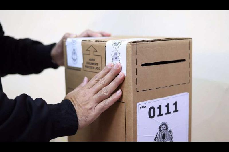 Renuncioacute la titular de la Direccioacuten Nacional Electoral