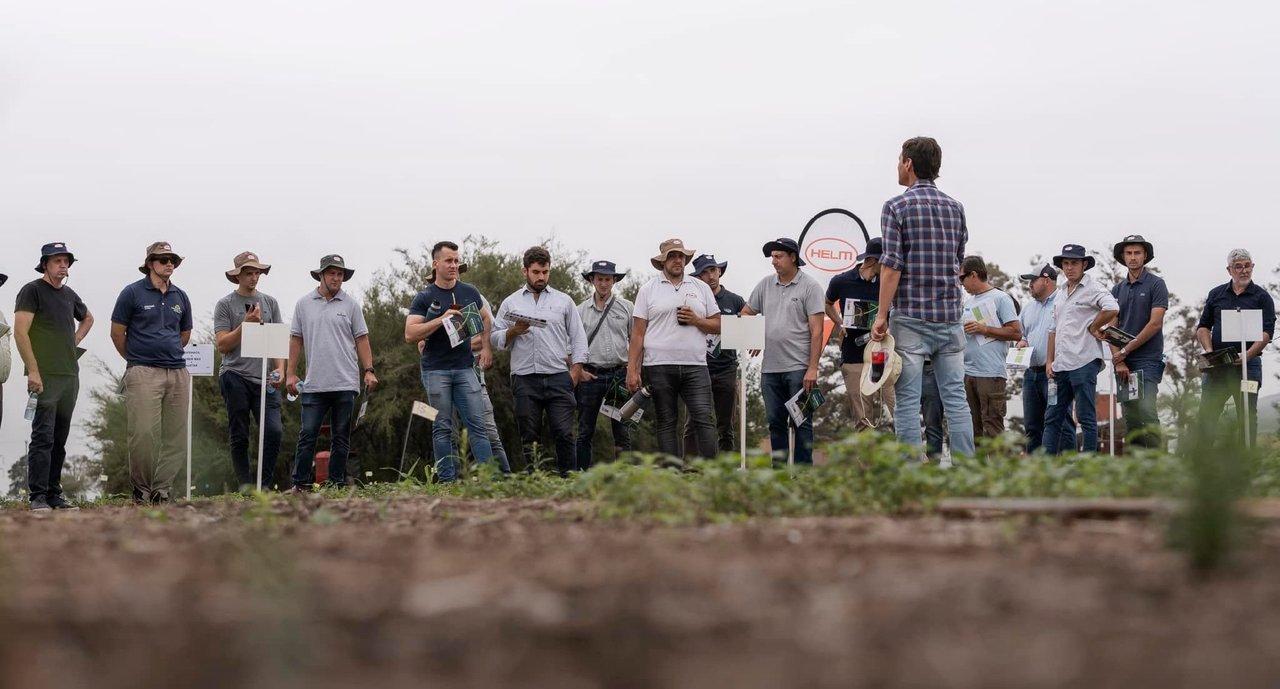 Adioacutes a la Argentina- una gigante alemana del agro deja el paiacutes tras dos deacutecadas