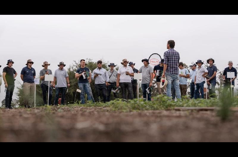 Adioacutes a la Argentina- una gigante alemana del agro deja el paiacutes tras dos deacutecadas