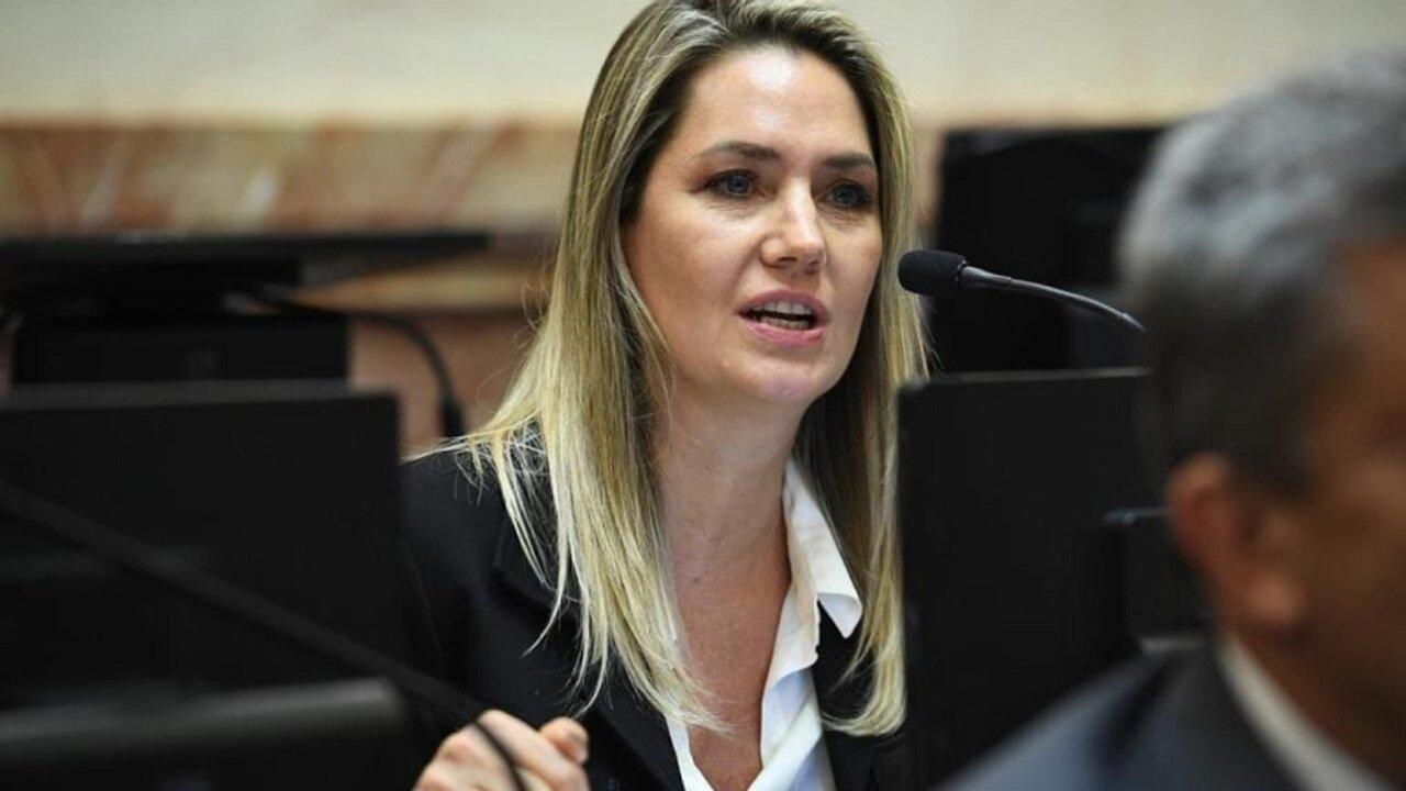 Denunciaron a Carolina Losada por su proyecto sobre ldquofalsas denunciasrdquo en casos de violencia de geacutenero 