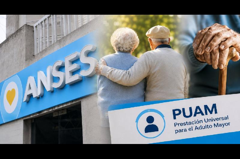 Aguinaldo de ANSES en junio- coacutemo se calcula el pago para las Pensiones No Contributivas y la PUAM