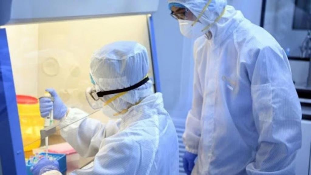 La OMS dice que el riesgo de la actual epidemia de eacutebola es ldquobajordquo a nivel global
