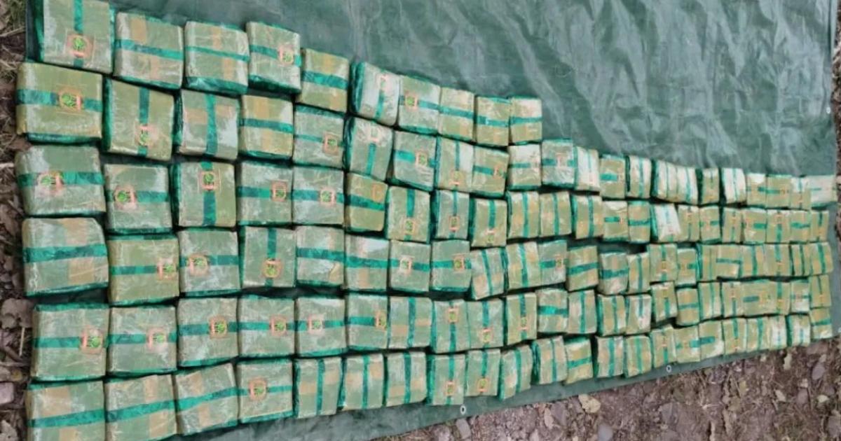 Llevaban maacutes de 500 kilos de hojas de coca en una camioneta sin patente