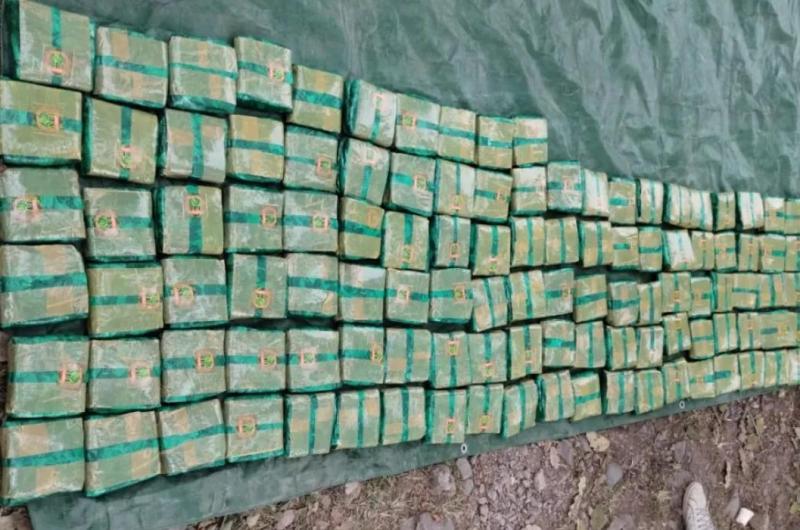 Llevaban maacutes de 500 kilos de hojas de coca en una camioneta sin patente