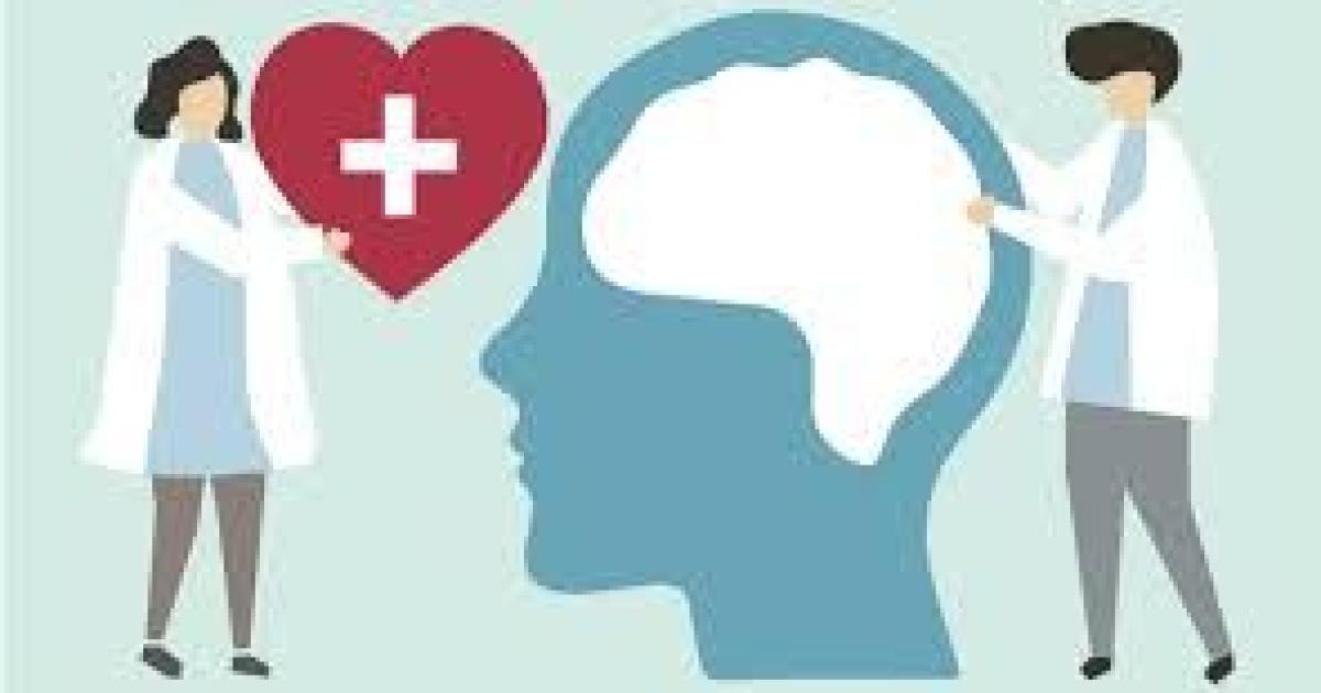 Abordaje interdisciplinario e intersectorial en los servicios de salud mental en la provincia