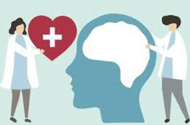Abordaje interdisciplinario e intersectorial en los servicios de salud mental en la provincia
