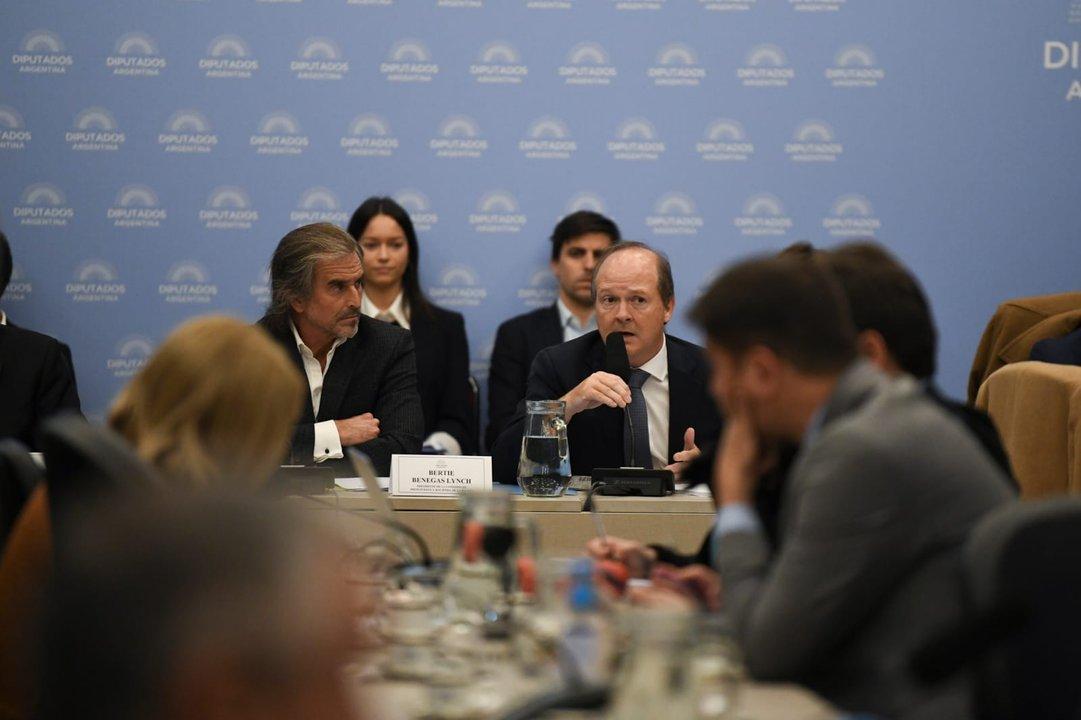 El Gobierno inicioacute el debate del Suacuteper RIGI en Diputados- ldquoSe busca impulsar industrias que hoy no existen en el paiacutesrdquo
