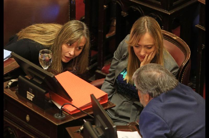 Bullirch se cruzoacute con Mayans y Di Tullio durante la sesioacuten en el Senado