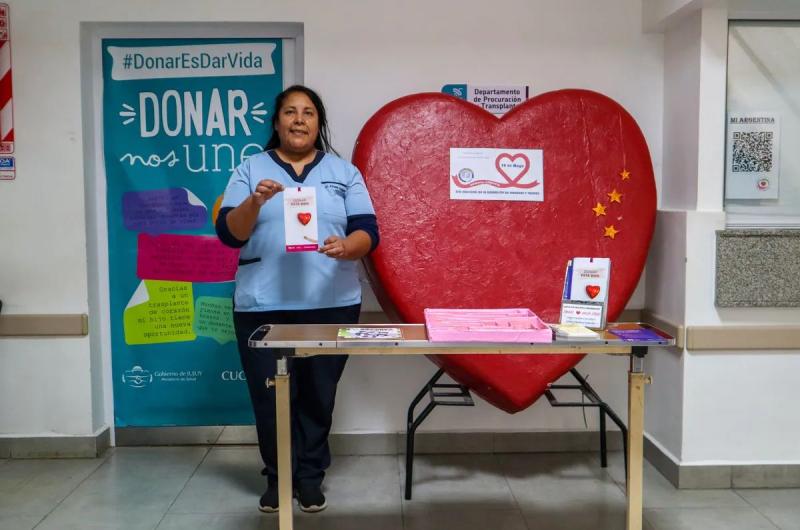 Jujuy suma 40 ablaciones de oacuterganos este antildeo