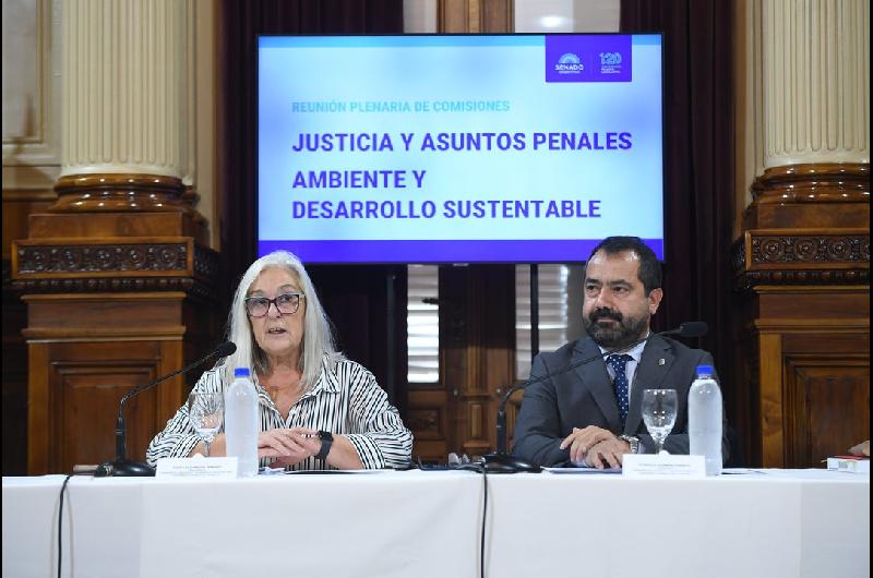 El Senado avanzoacute con un proyecto para penalizar con prisioacuten delitos ambientales graves