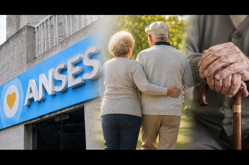 ANSES habilitoacute la consulta del recibo de haberes desde la aplicacioacuten Mi ANSES
