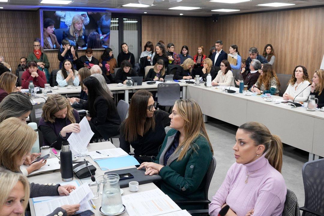 La oposicioacuten firmoacute un dictamen para declarar la emergencia nacional en violencia de geacutenero