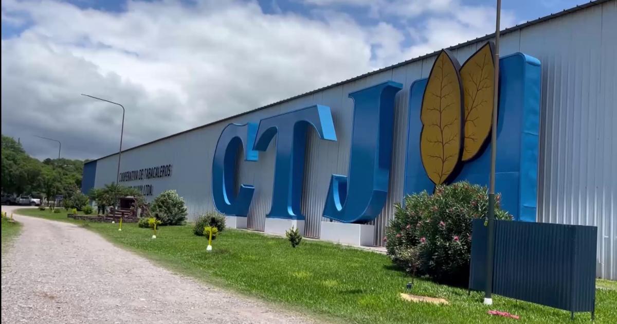 Cooperativa de Tabacaleros salioacute al cruce de las falsedades de algunos dirigentes 