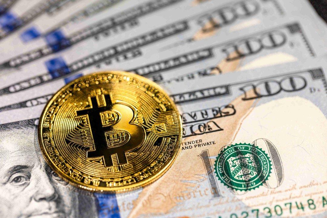 Freelancers- crece el uso de doacutelares digitales y stablecoins para cobrar trabajos del exterior