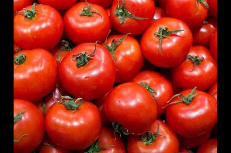 La suba en las verduras impidioacute que la inflacioacuten fuese maacutes baja en mayo