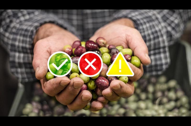 Las cadenas productivas recuperan terreno en Buenos Aires- Comercio y Sojera traccionaron el avance