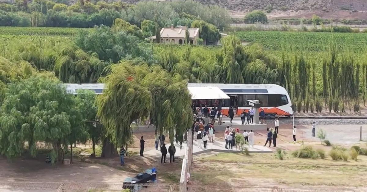 El  Tren del Vino- experiencia uacutenica entre vintildeedos de altura