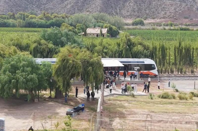 El  Tren del Vino- experiencia uacutenica entre vintildeedos de altura