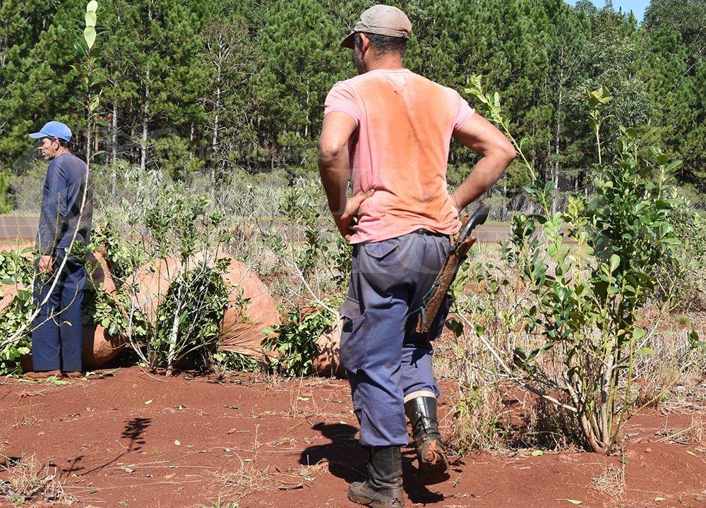 Misiones- productores pidieron la renuncia del titular del INYM