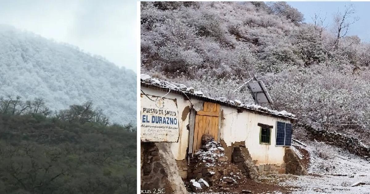 Mucho friacuteo y el hermoso paisaje de nevadas en Yala El Durazno y Molulo