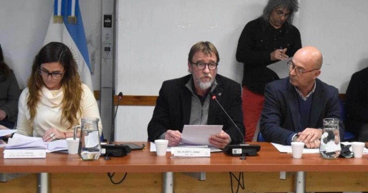 Rizzotti pidioacute la quita del IVA en la tarifa eleacutectrica y de agua 
